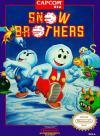 Play <b>Snow Brothers</b> Online